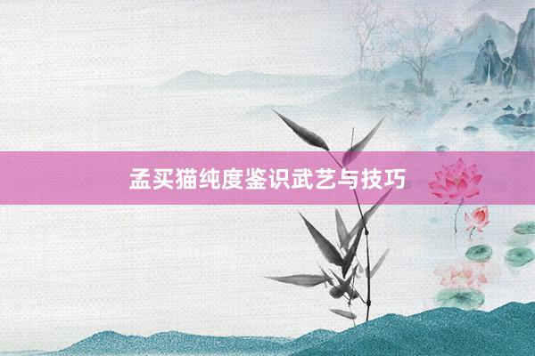 孟买猫纯度鉴识武艺与技巧