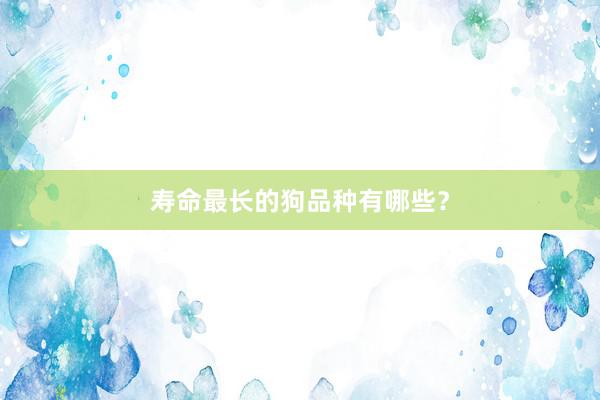 寿命最长的狗品种有哪些？